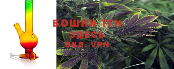 прущие крисы Аркадак