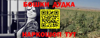 шишки Апшеронск