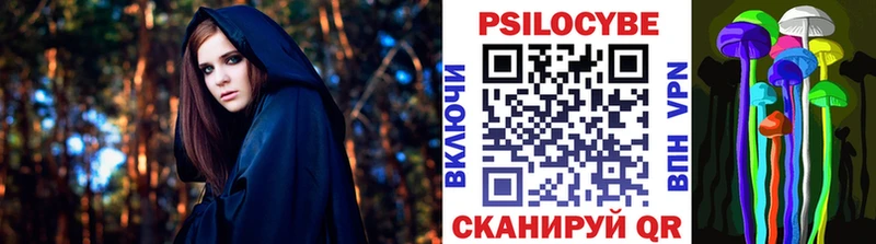 OMG как зайти  Белорецк  Псилоцибиновые грибы мицелий  дарнет шоп 