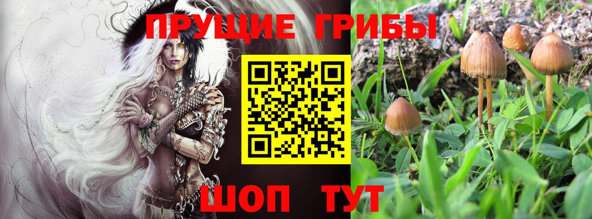 Псилоцибиновые грибы MAGIC MUSHROOMS Белорецк